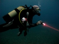 Exploring the marine reserve at night is a whole new experience