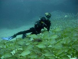 By the end of winter in Gran Canaria, gloves and hood are recommended in the deeper waters of the marine reserve