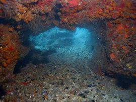 Underwater scuba divers in Arinaga can find this secret tunnel