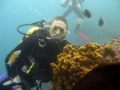 Dive gran canaria - normal conditions