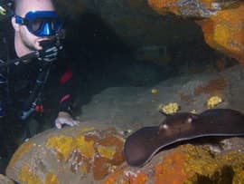 The El Cabron Marine Reserve is the best place to dive in Gran Canaria