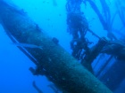 A barracuda hunts around one of the masts of the wreck of the Frigorifica in Gran Canaria