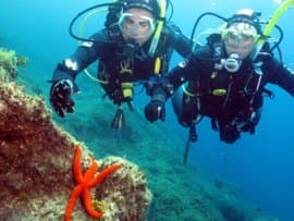 Schwimmen Sie in großen Wolken von Mönchfischen im El Cabrón Meeresreservat 