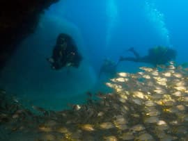 Gran canaria divers find there's a surprise everywhere