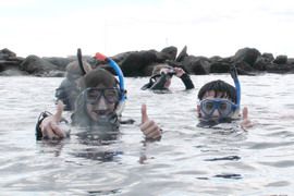 Arinaga es un buen sitio para hacer snorkel(gafas y tubo), puedes dejar el coche al lado, tomar cafe o lo que te apetezca alli mismo