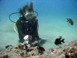 buceo islas canarias