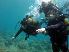 keeping you safe as we discover diving in Gran Canaria