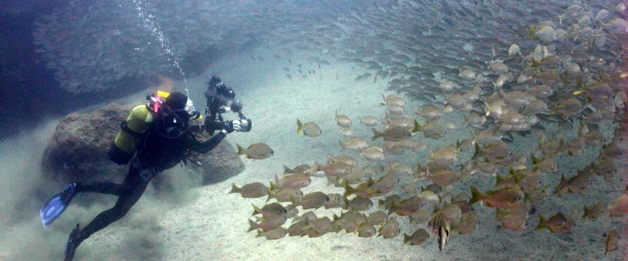 wreck diving in Gran Canaria