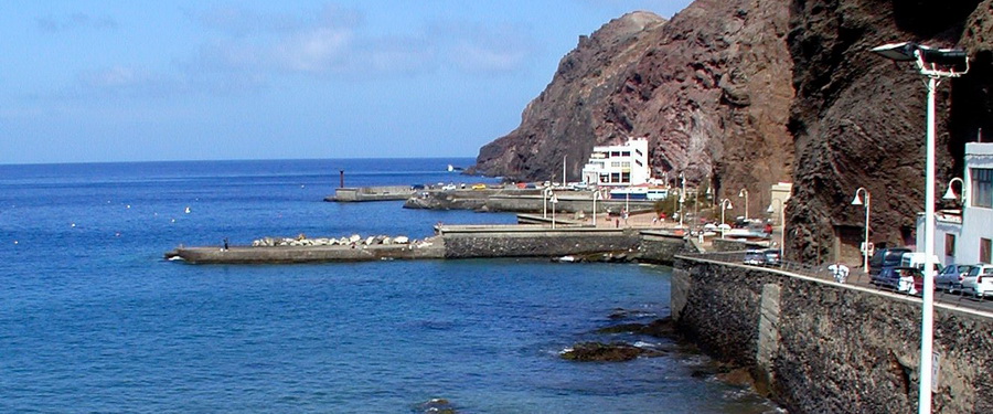 dive with angel sharks gran canaria