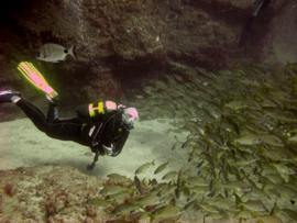 Gran Canaria condiciones de buceo